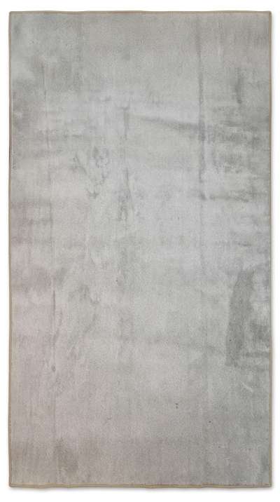 Rug Image